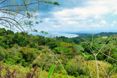 CR2010-03-03-pic07