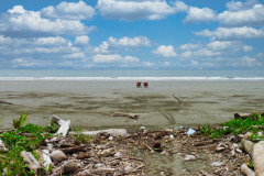 CR2010-03-03-pic21