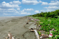 CR2010-03-03-pic22