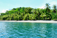 CR2010-03-02-03pic