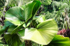CR2010-03-02-31pic
