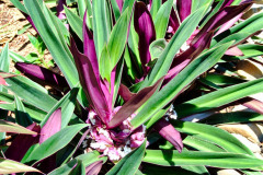 CR2010-03-02-35pic