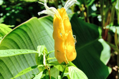 CR2010-03-02-39pic