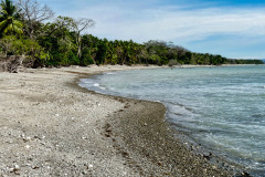 CR2010-03-06-pic03