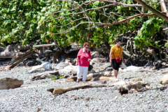 CR2010-03-06-pic07