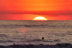 CR2010-03-06-pic12
