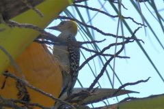 CR2010-03-07-pic01