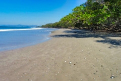 CR2010-03-07-pic04