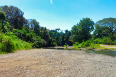 CR2010-03-07-pic07