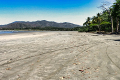 CR2010-03-07-pic11