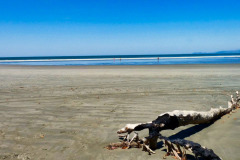 CR2010-03-07-pic12