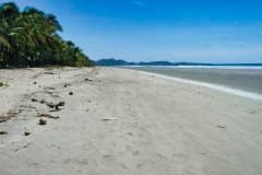 CR2010-03-07-pic23