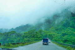CR2010-03-08-pic03