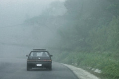 CR2010-03-08-pic04