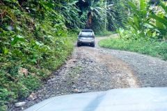 CR2010-03-10-pic03