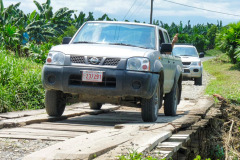 CR2010-03-10-pic19