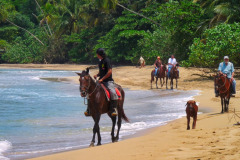 CR2010-03-11-P1030990
