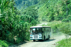 CR2010-03-12-pic01