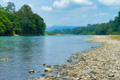 CR2010-03-12-pic20