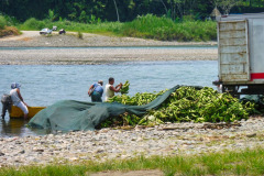 CR2010-03-12-pic21