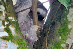 CR2010-03-13-pic03