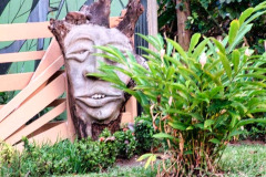 CR2010-02-20pic11
