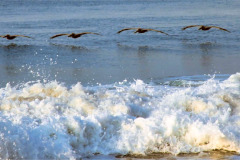 CR2010-02-21-pic04