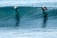 CR2010-02-21-pic05