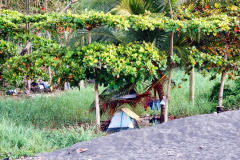 CR2010-02-21-pic09