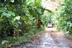 CR2010-02-23-pic12