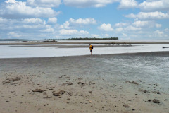 CR2010-02-23-pic19