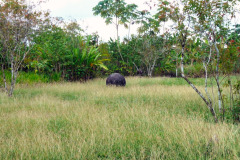 CR2010-02-23-pic22