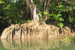 CR2010-02-24-pic04