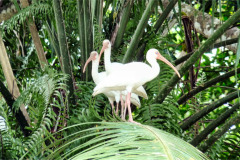 CR2010-02-24-pic07