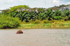 CR2010-02-24-pic14