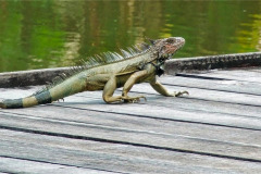 CR2010-02-24-pic21