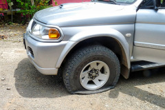 CR2010-02-25-pic08