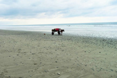 CR2010-02-25-pic16