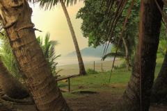 CR2010-02-26-pic07