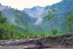 CR2010-02-27-pic02
