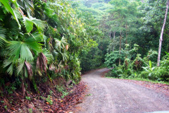 CR2010-02-27-pic03