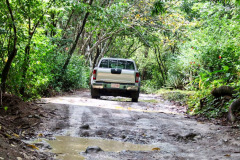CR2010-02-27-pic06
