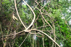 CR2010-02-27-pic07