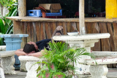 CR2010-03-04-pic07