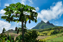 Mauritius-18-11-pic06