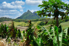 Mauritius-18-11-pic07