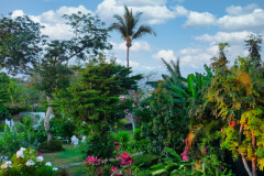 Mauritius-19-11-pic20