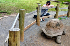 Mauritius-23-11-pic07