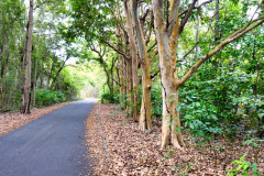 Mauritius-23-11-pic28