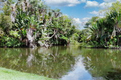 Mauritius-24-11-pic01